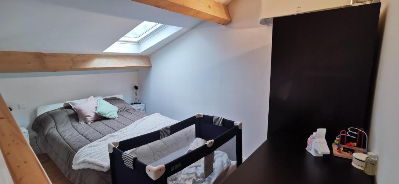 Appartements Et Studio Renoves En 2022, Intra Muros Avignon Bagian luar foto